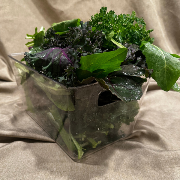 Liver Shield Green Drinks 7-Packs