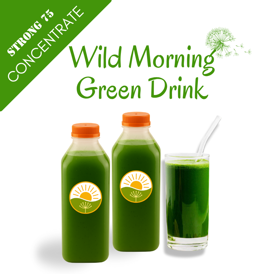 Wild Morning Green Drink Concentrate